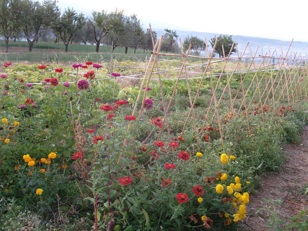 Agriturismo Papageno ริญาโนซุลลาร์โน ภายนอก รูปภาพ